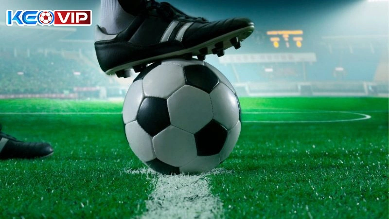 Nghiên cứu kỹ các nhận định 